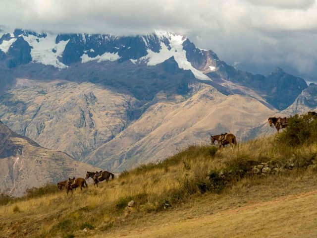 Tour Sacred Valley 1 Day